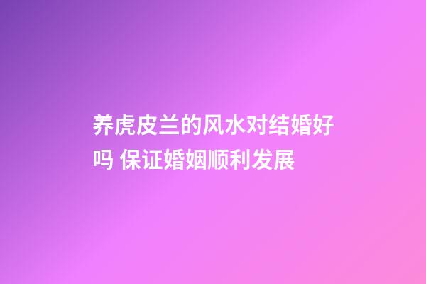 养虎皮兰的风水对结婚好吗 保证婚姻顺利发展